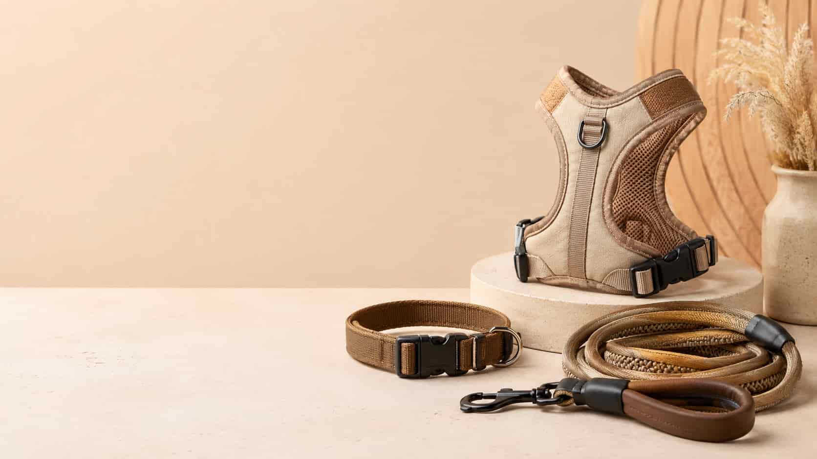 Pet Accessories 01