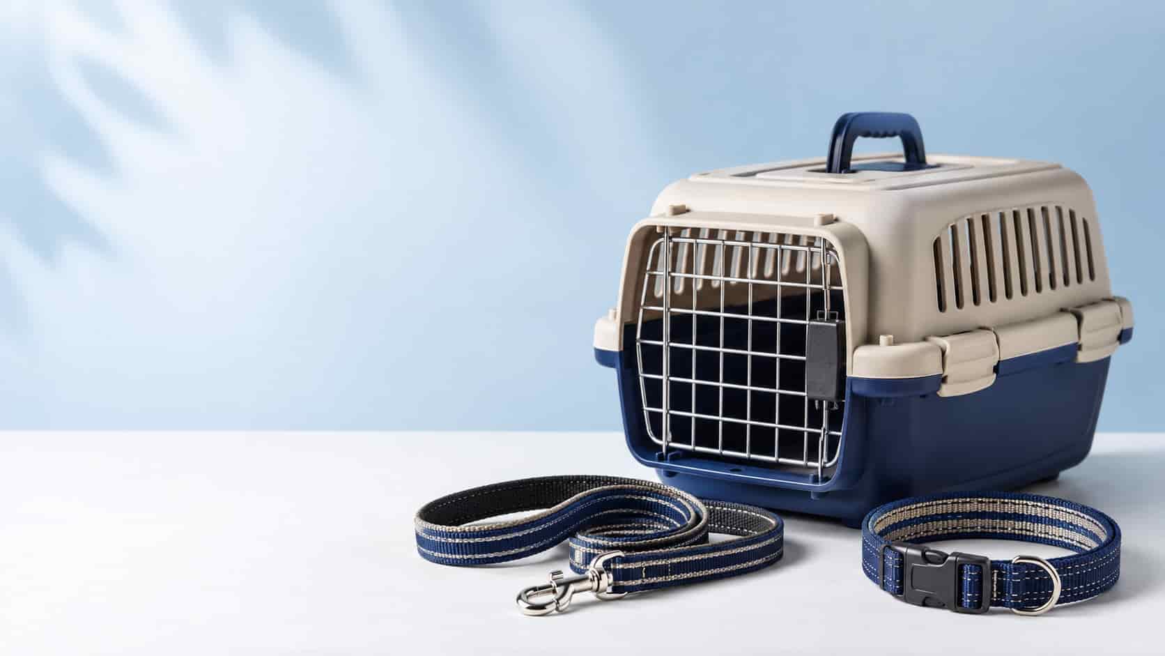 Pet Accessories 04